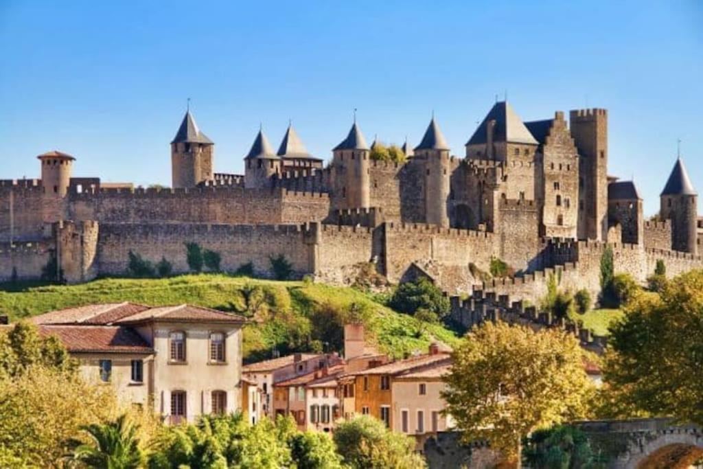 Dame Carcas Apartment Carcassonne Bagian luar foto