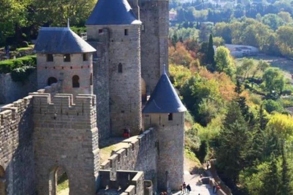 Dame Carcas Apartment Carcassonne Bagian luar foto